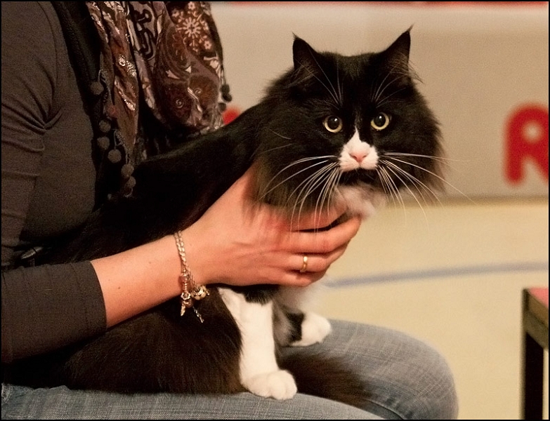 Inconnu 2.jpg - Inconnu